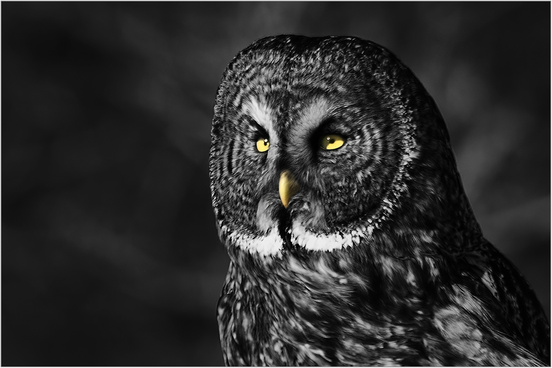 Intense by Marlene Smith